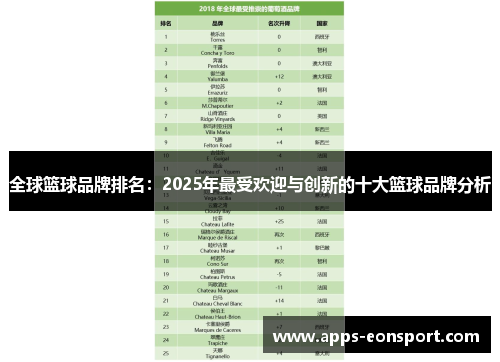 全球篮球品牌排名：2025年最受欢迎与创新的十大篮球品牌分析