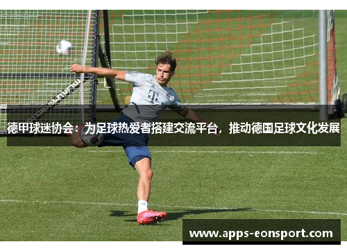 德甲球迷协会：为足球热爱者搭建交流平台，推动德国足球文化发展