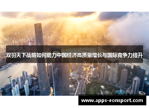 双羽天下战略如何助力中国经济高质量增长与国际竞争力提升