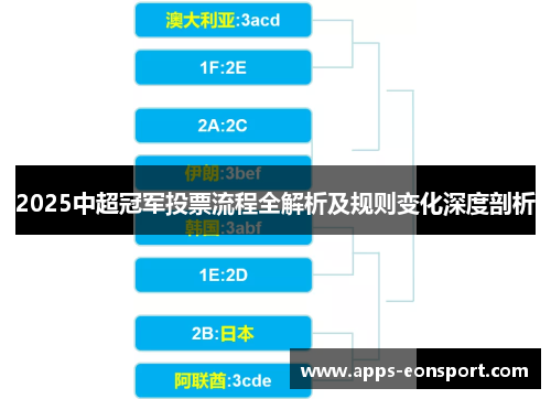 2025中超冠军投票流程全解析及规则变化深度剖析