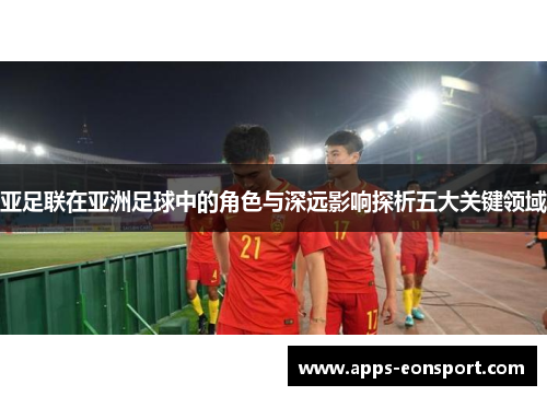 亚足联在亚洲足球中的角色与深远影响探析五大关键领域